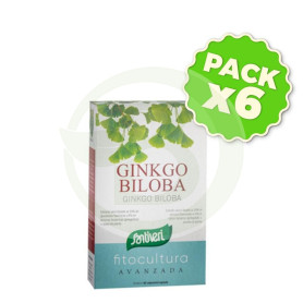 Pack 6x Ginkgo 40 Cápsulas Santiveri