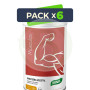 Pack 6x Dynamic Proteína Vegetal Vainilla 455G Santiveri