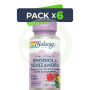 Pack 6x Rhodiola & Schizandra 500Mg. 60 Cápsulas Solaray