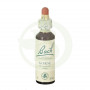 Fiori di Bach Gorse (Ginestrone) 20Ml. Bach