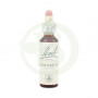 Fiore di Bach Hornbeam (Carpino) 20Ml. Bach