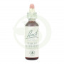 Fiori di Bach Star of Bethlehem 20Ml. Bach