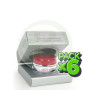 Pack 6x Crema Antioxidante Celular Shilart 50Ml. Shila