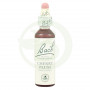 Fiori di Bach Cherry Plum (Ciliegio Mirabolano) 20Ml. Bach