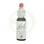 Fiori di Bach Chestnut Bud (Gemma di Castagno) 20Ml. Bach
