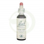 Fiori di Bach Chicory (Cicoria) 20Ml. Bach