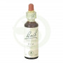 Fiori di Bach Elm (Olmo) 20Ml. Bach