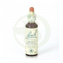 Fiori di Bach Sweet Chestnut (Castagno Dolce) 20Ml. Bach