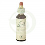 Fiori di Bach Heather (Erica) 20Ml. Bach