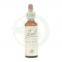 Fiori di Bach Wild Rose (Rosa Canina) 20Ml. Bach
