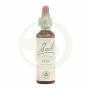 Fiori di Bach Pine (Pino Silvestre) 20Ml. Bach