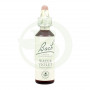 Fiori di Bach Water Violet (Viola Acquatica) 20Ml. Bach
