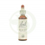 Fiori di Bach Wild Oat (Avena Selvatica) 20Ml. Bach