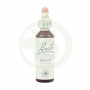 Fiori di Bach Beech (Faggio) 20Ml. Bach