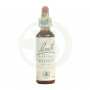 Fiori di Bach Walnut (Noce) 20Ml. Bach
