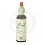 Fiori di Bach Honeysuckle (Caprifoglio) 20Ml. Bach