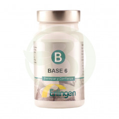 Base 6 60 Compresse Erlingen