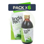 Pack 6x Depurativo Eco 250Ml. Lindaren Diet