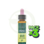 Pack 3x ELIXIR FLORAL 27 AGUA ROCA 10Ml. PLANTIS
