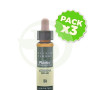 Pack 3x Elixir Floral 31 Verbena 10Ml. Plantis