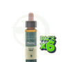 Pack 6x Elixir Floral 3 Beech 10Ml. Plantis