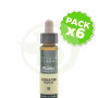 Pack 6x Elixir Floral 9 Clematis 10Ml. Plantis