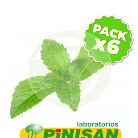 Pack 6x Stevia En Planta 40Gr. Pinisan