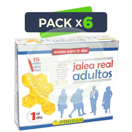 Pack 6x Jalea Real Adultos 15 Viales Pinisan