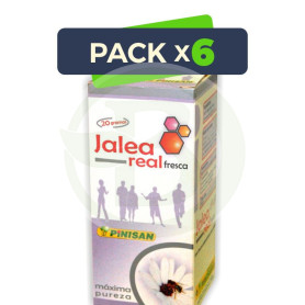 Pack 6x Jalea Real Fresca 20Gr. Pinisan