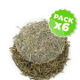 Pack 6x Romero Hojas 1Kg. Pinisan