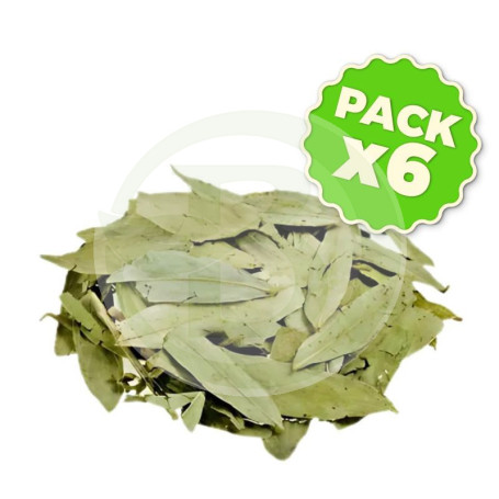 Pack 6x Sen Hojas 1Kg Pinisan