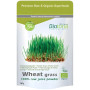 Succo Di Erba Di Frumento in Polvere 150G Biotona
