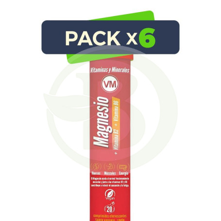 Pack 6x Magnesio + Vit B2 + Vit B6 20 Tabletas Efervescentes Ynsadiet