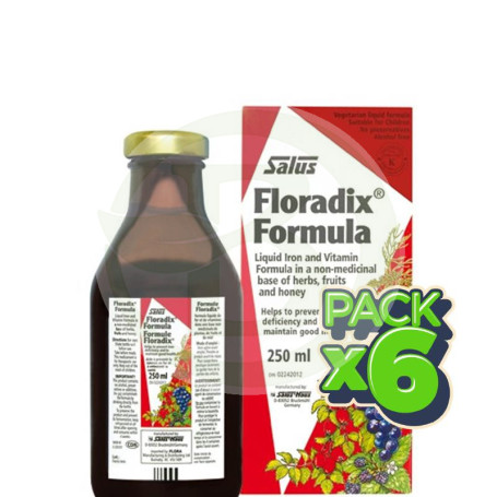 Pack 6x Floradix Jarabe 250Ml. Salus