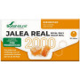 Pappa Reale 2000 con Probióticos 20 Flaconcini Soria Natural