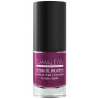 Smalto per Unghie Nº5 Melanzana 6Ml Camaleon