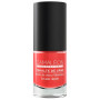 Smalto per Unghie Nº10 Corallo 6Ml Camaleon