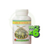 Pack 6x Graviola 90 Cápsulas Golden Green