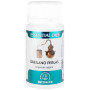 Essential Oils Orégano 60 Perle Equisalud