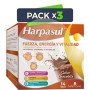 Pack 3x Batido Fuerza Energía y Vitalidad Chocolate 14 Sobres Natysal