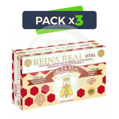 Pack 3x Reina Real Vital 20 Fiale Robis