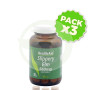 Pack 3x Olmo Rojo (Ulmus Rubra) Health Aid