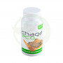 Chaga Eco 45 Capsule Plantis