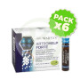 Pack 6x Artrohelp Forte 20 Viales Marnys