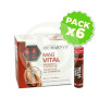 Pack 6x Magvital 20 Viales Marnys