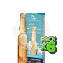 Pack 6x Ampollas Faciales Monodosis Aci. Hialuronico Antiarrugas Armonia