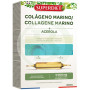 Collagene Marino con Acerola 20 Fiale Superdiet