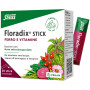 Floradix 20 Stick Salus