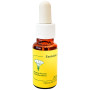 Pasionaria Fiore 20Ml Essenze del Mediterraneo