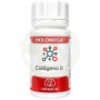 Holomega Collagen Ii Articolare 50 Capsule Equisalud
